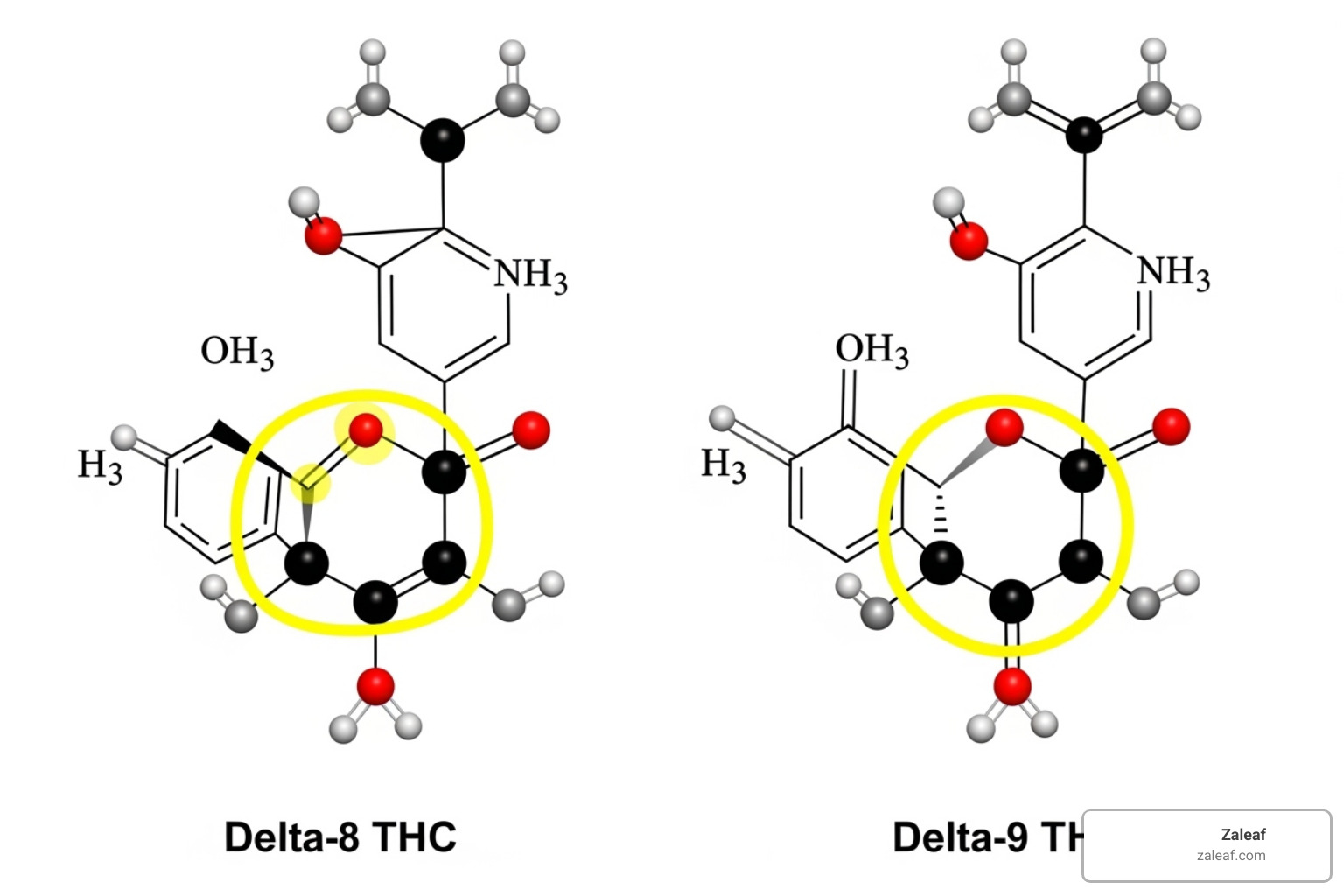 Chemical structures of Delta-8 and Delta-9 THC side-by-side, highlighting the double bond location - Delta 8 for focus Chemical structures of Delta-8 and Delta-9 THC side-by-side, highlighting the double bond location - Delta 8 for focus
