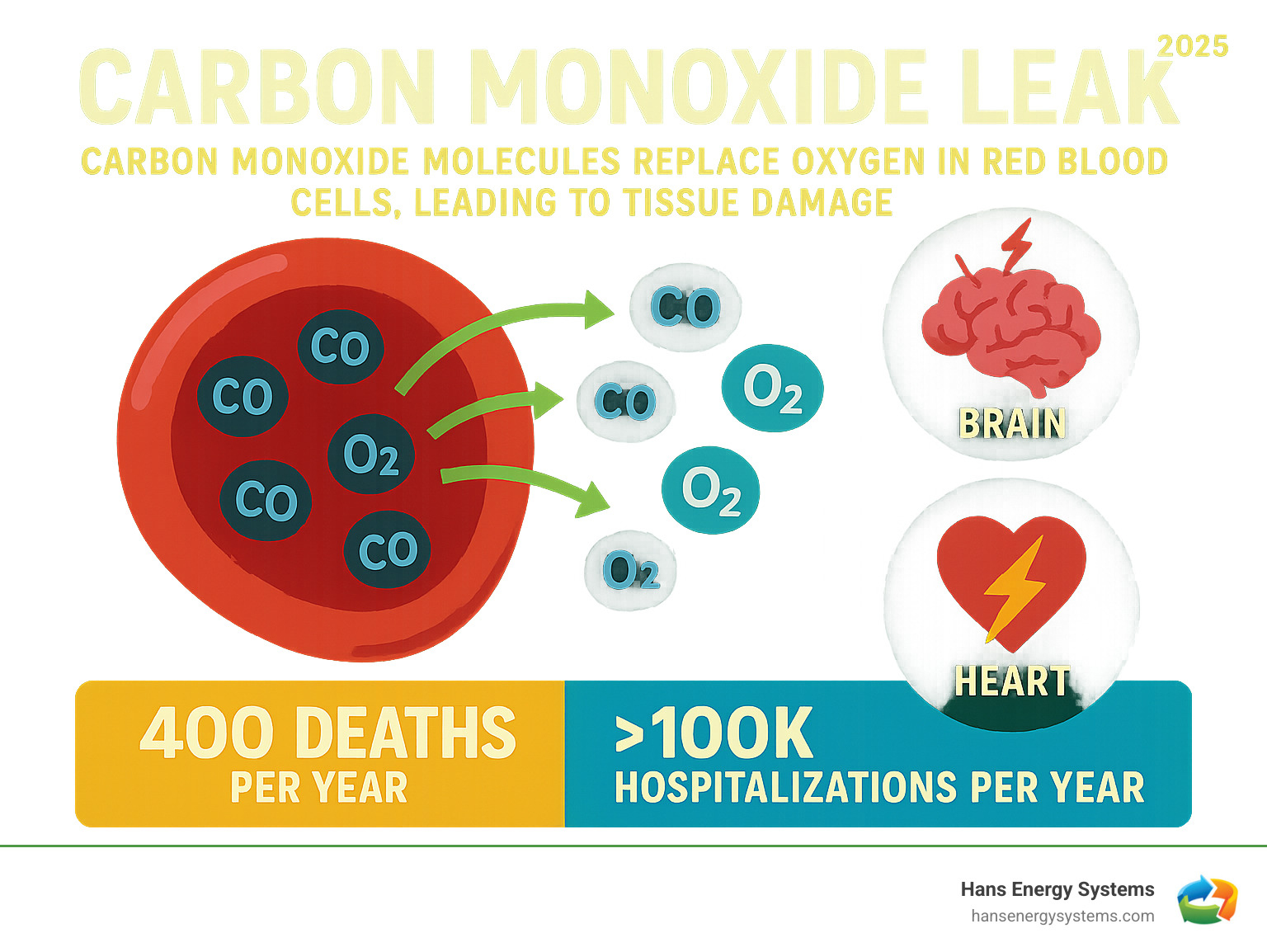 Infographic showing how carbon monoxide molecules displace oxygen in red blood cells, leading to tissue damage in the brain and heart, with statistics on annual deaths and hospitalizations - Carbon monoxide leak infographic 