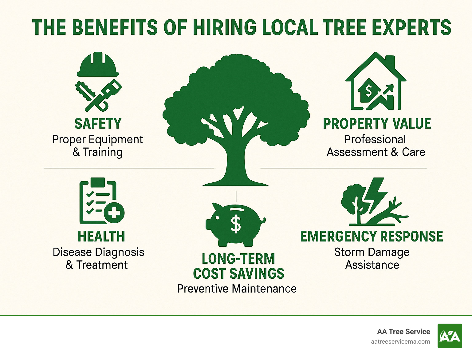 Comprehensive infographic showing the core benefits of hiring local tree experts: safety through proper equipment and training, property value protection through professional assessment and care, health maintenance via disease diagnosis and treatment, emergency response for storm damage, and long-term cost savings through preventive maintenance - local tree experts infographic 