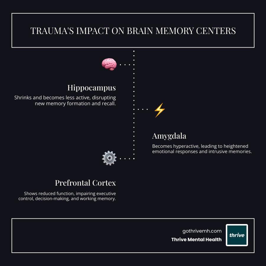 Infographic showing how trauma affects memory through three key brain regions: the hippocampus becoming smaller and less active in memory formation, the amygdala becoming hyperactive in emotional processing, and the prefrontal cortex showing reduced function in executive control and working memory - can trauma cause memory loss infographic infographic-line-3-steps-dark
