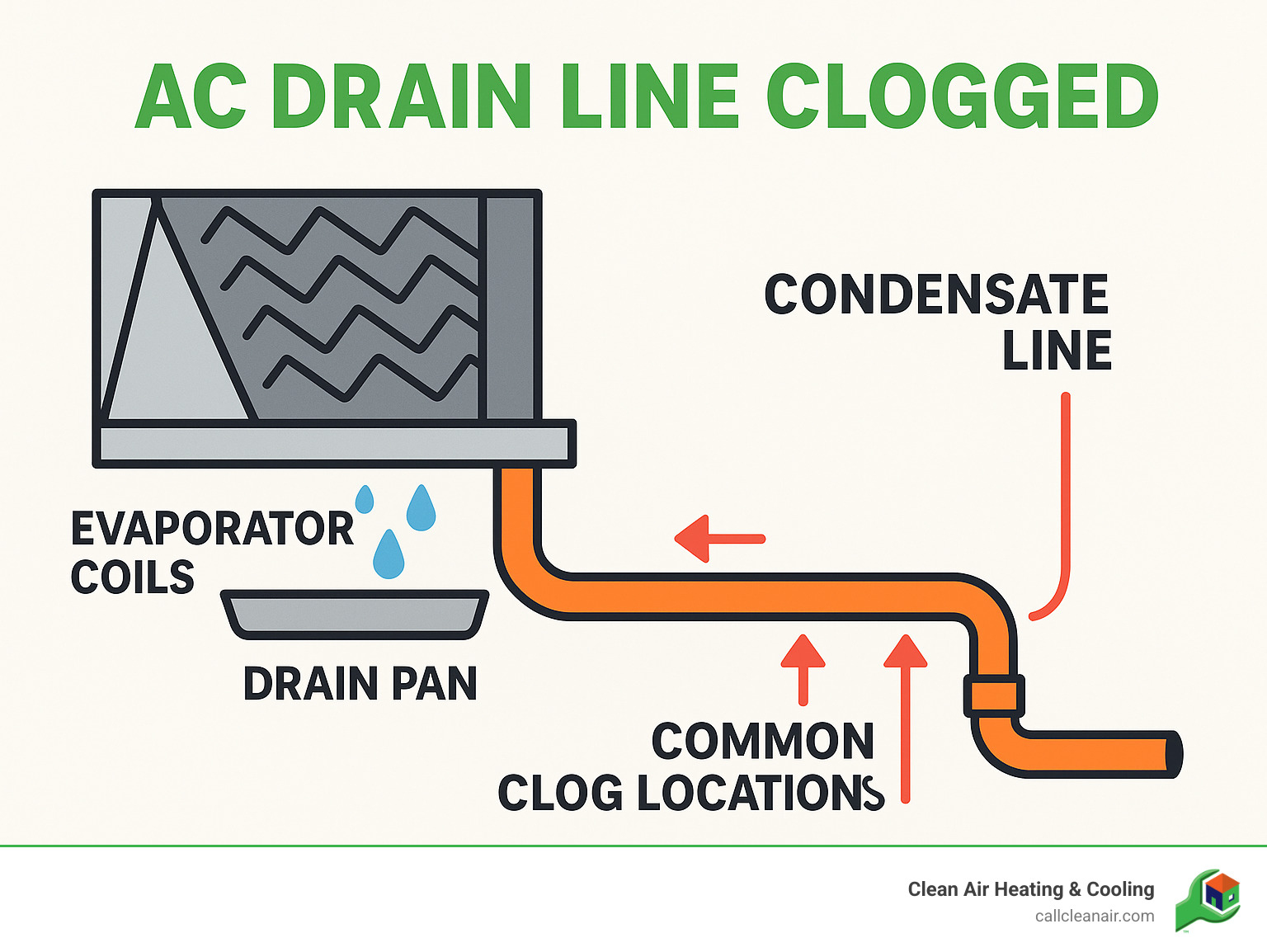 Infographic showing AC condensate drain line system with evaporator coils, drain pan, condensate line, and common clog locations marked with arrows and labels - AC drain line clogged infographic 