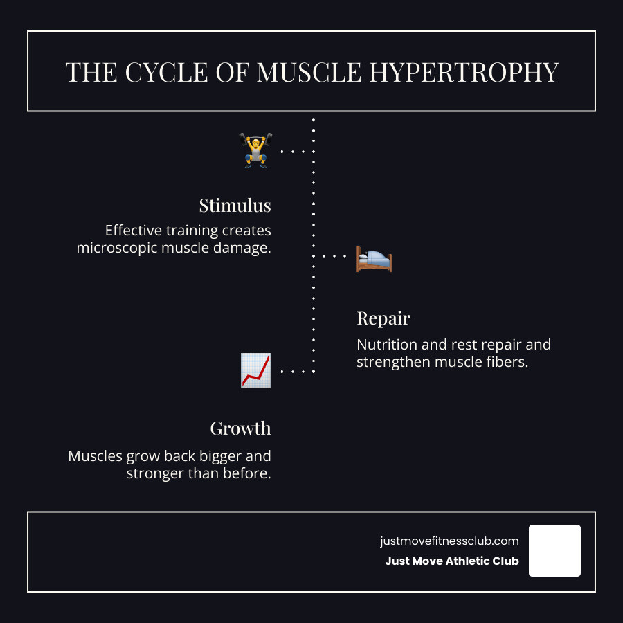 Infographic showing the muscle building cycle with three connected phases: Stimulus phase showing a person lifting weights with "Training creates microscopic muscle damage", Recovery phase showing someone sleeping with "Nutrition and rest repair and strengthen muscle fibers", and Growth phase showing muscular arms with "Muscles grow back bigger and stronger than before" - strength and muscle building workout plan infographic infographic-line-3-steps-dark Infographic showing the muscle building cycle with three connected phases: Stimulus phase showing a person lifting weights with "Training creates microscopic muscle damage", Recovery phase showing someone sleeping with "Nutrition and rest repair and strengthen muscle fibers", and Growth phase showing muscular arms with "Muscles grow back bigger and stronger than before" - strength and muscle building workout plan infographic infographic-line-3-steps-dark