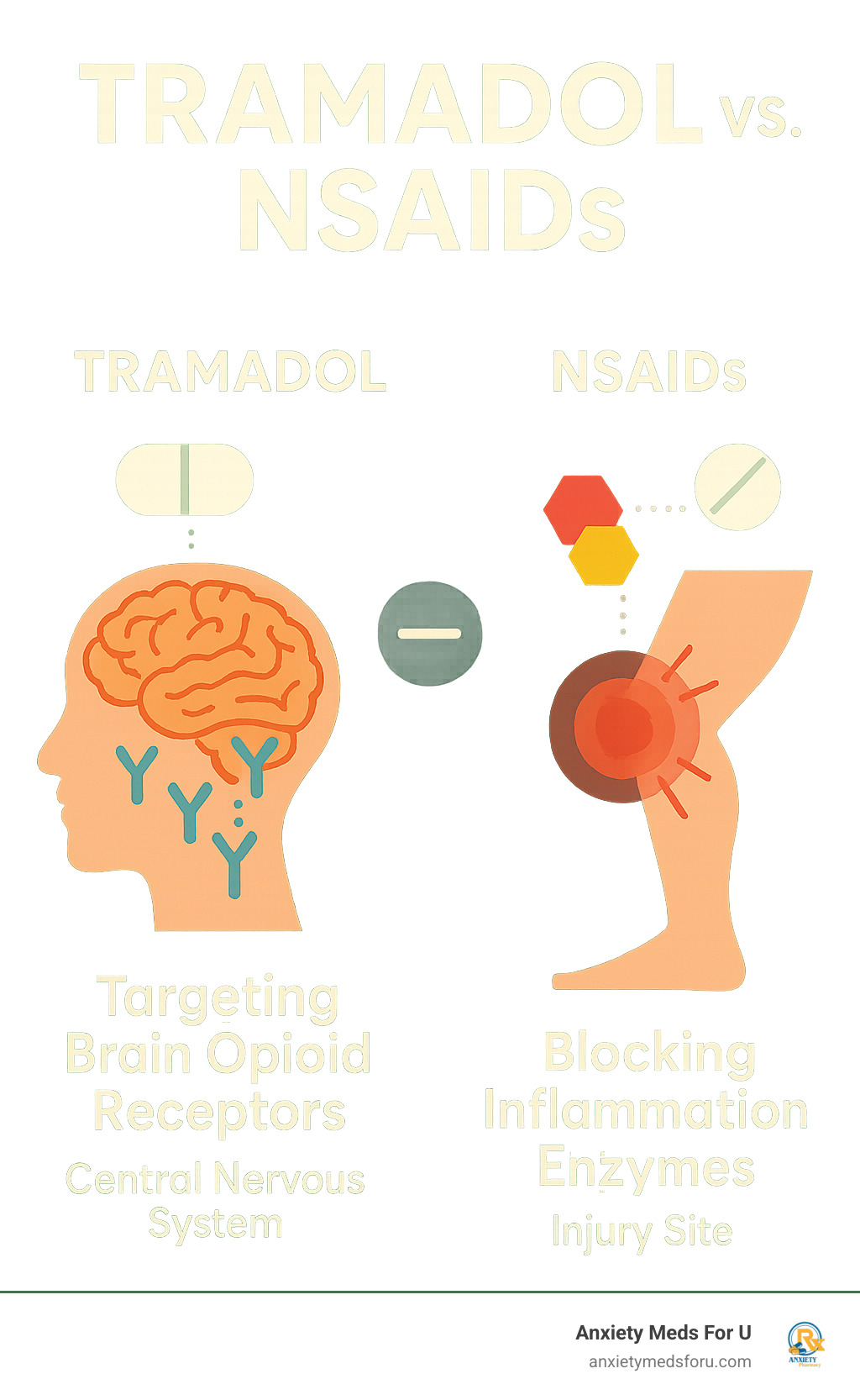 Infographic showing tramadol targeting brain opioid receptors versus NSAIDs blocking inflammation enzymes at injury sites, with clear visual distinction between central nervous system action and local anti-inflammatory action - is tramadol an nsaid infographic 