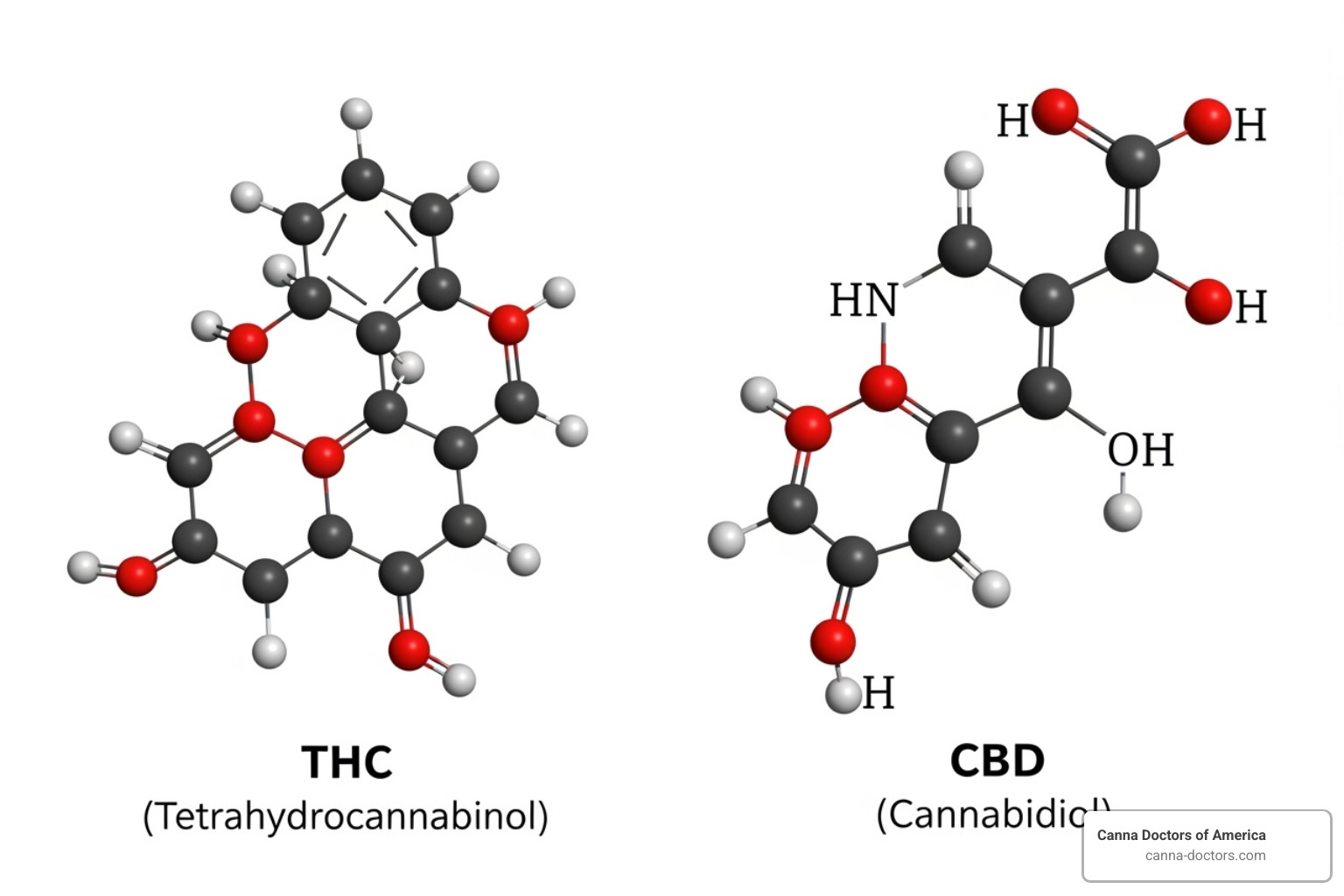 Chemical structures of THC and CBD - medical marijuana for autism