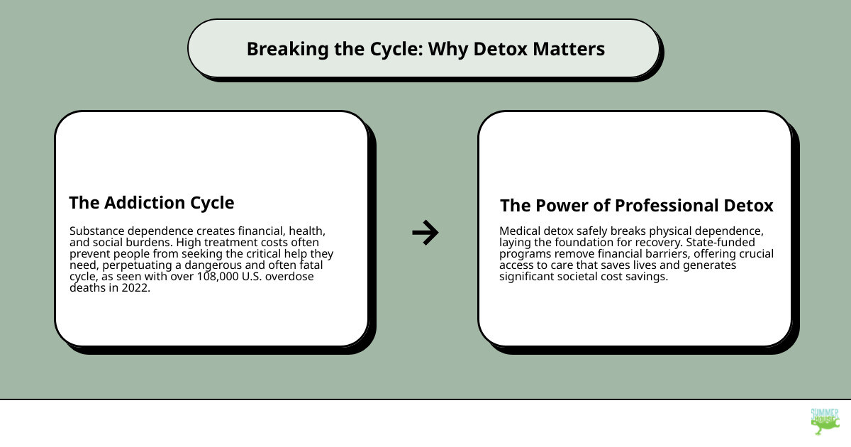 Infographic explaining the cycle of addiction and the importance of professional detox. - florida state funded detox centers infographic cause_effect_text