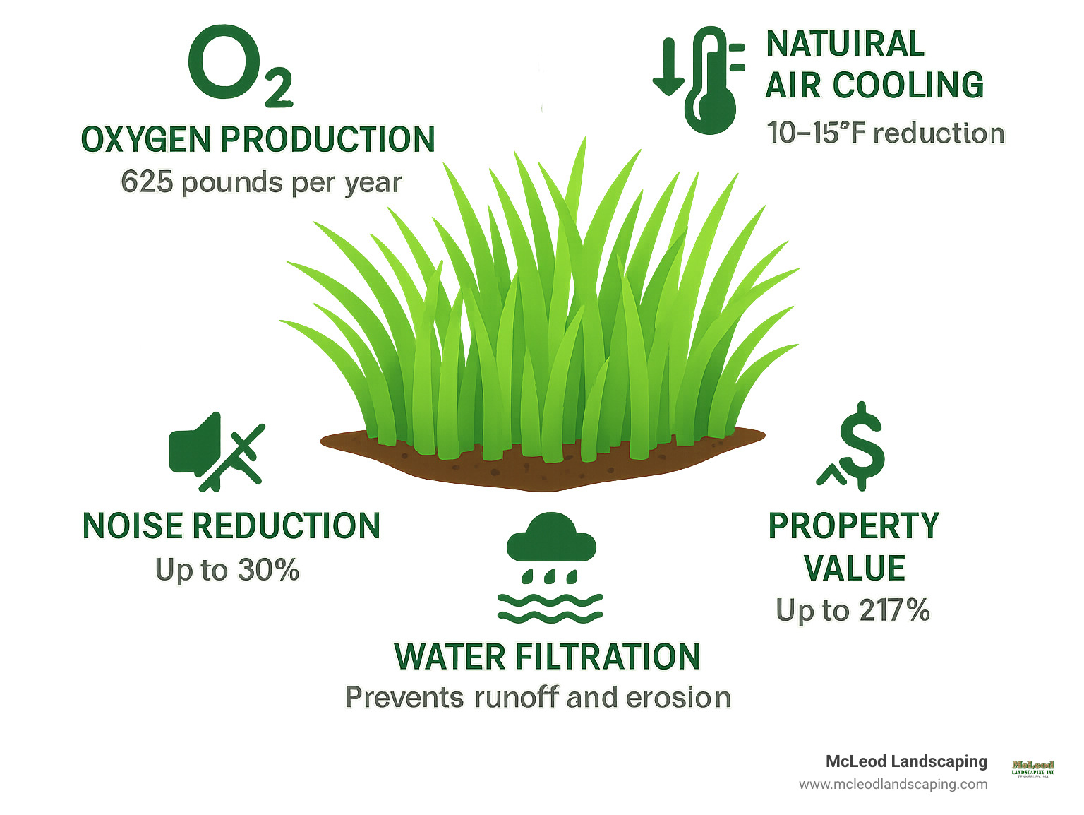 Comprehensive infographic showing the 5 key benefits of installing real grass: oxygen production averaging 625 pounds per year for a typical lawn, natural air cooling that reduces surrounding temperatures by 10-15 degrees, effective noise reduction of up to 30% compared to hard surfaces, water filtration capabilities that prevent runoff and erosion, and increased property value with potential returns of up to 217% on landscaping investments - installing real grass infographic 