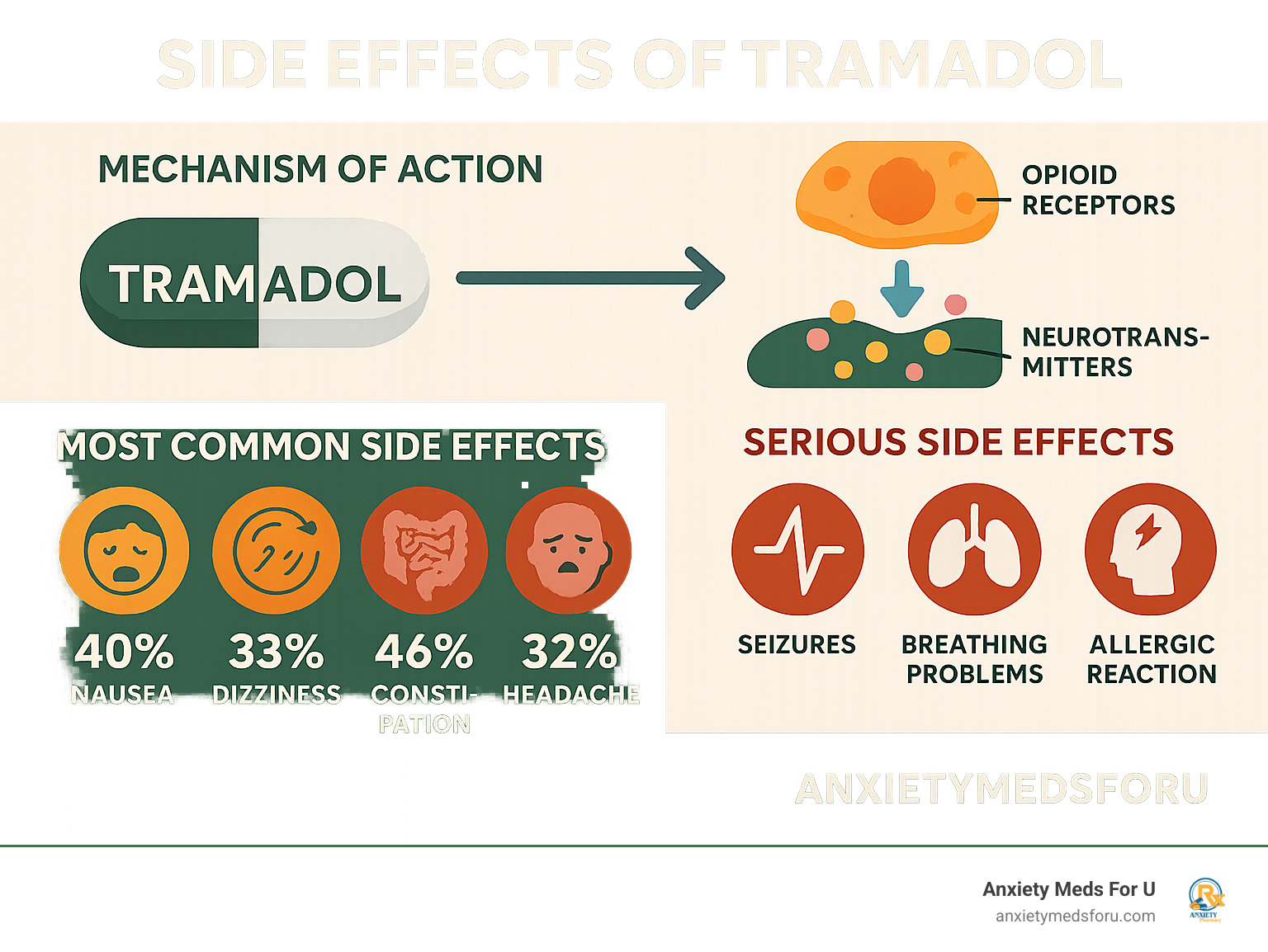 Detailed infographic showing tramadol's mechanism of action on opioid receptors and neurotransmitters, with a breakdown of common vs serious side effects by percentage and body system affected - side effects of tramadol infographic 