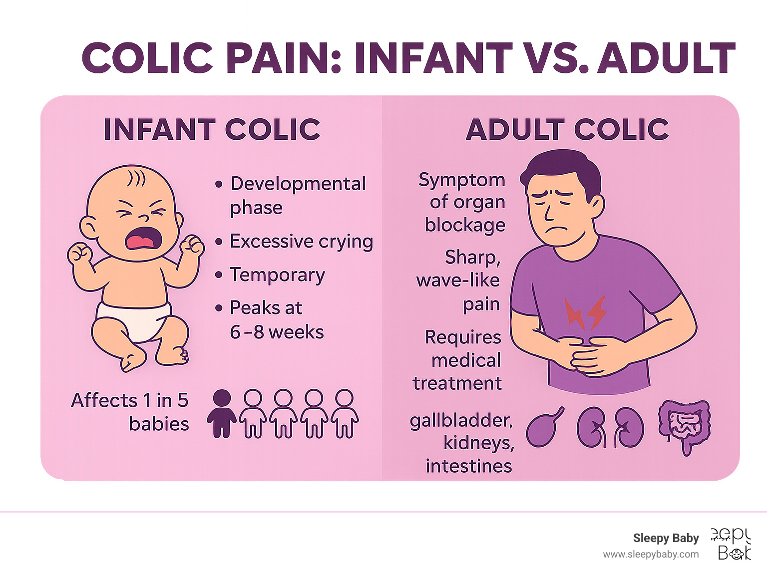 Infographic showing the key differences between infant colic (developmental phase with excessive crying, temporary, peaks at 6-8 weeks, affects 1 in 5 babies) and adult colic (symptom of organ blockage, sharp wave-like pain, requires medical treatment, affects hollow organs like gallbladder, kidneys, and intestines) - colic pain infographic 