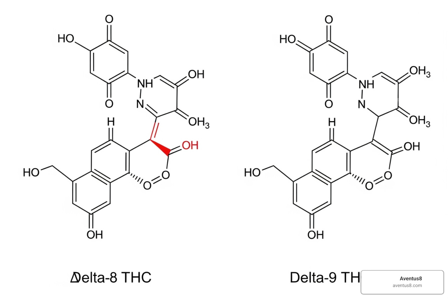 illustrating the chemical structure difference between a Delta 8 and Delta 9 molecule - Delta 8 gummies effects