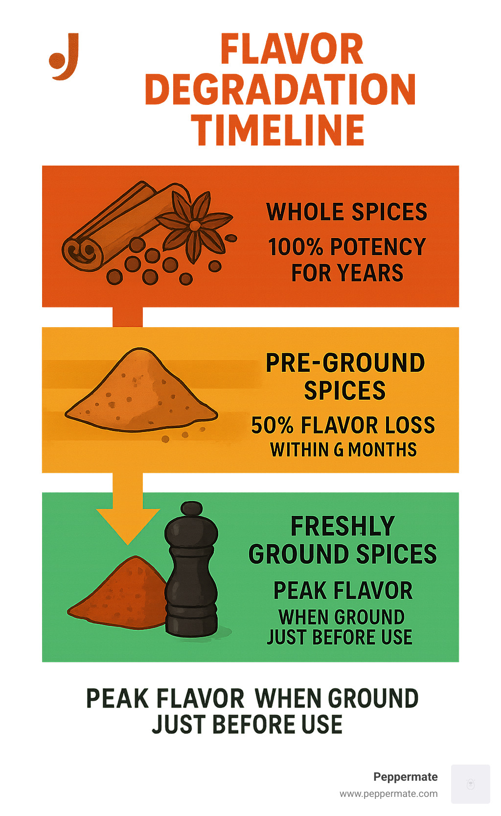 Infographic showing flavor degradation timeline: whole spices retain 100% potency for years, pre-ground spices lose 50% flavor within 6 months, and freshly ground spices from whole maintain peak flavor when ground just before use - Home spice grinder infographic 