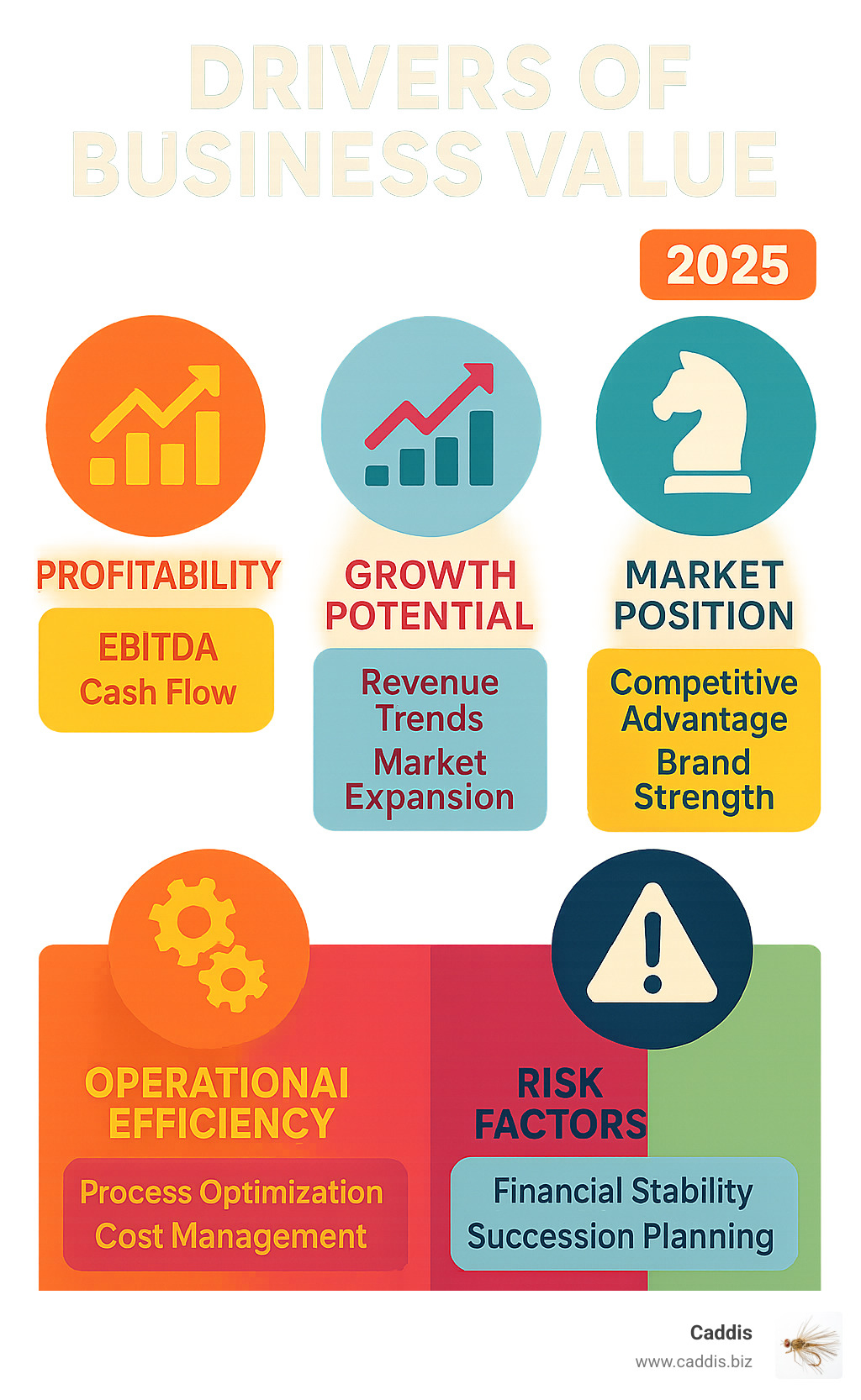 Infographic showing the five key drivers of business value: profitability (measured by EBITDA and cash flow), growth potential (revenue trends and market expansion), market position (competitive advantage and brand strength), operational efficiency (process optimization and cost management), and risk factors (financial stability and succession planning) - business value consulting infographic 