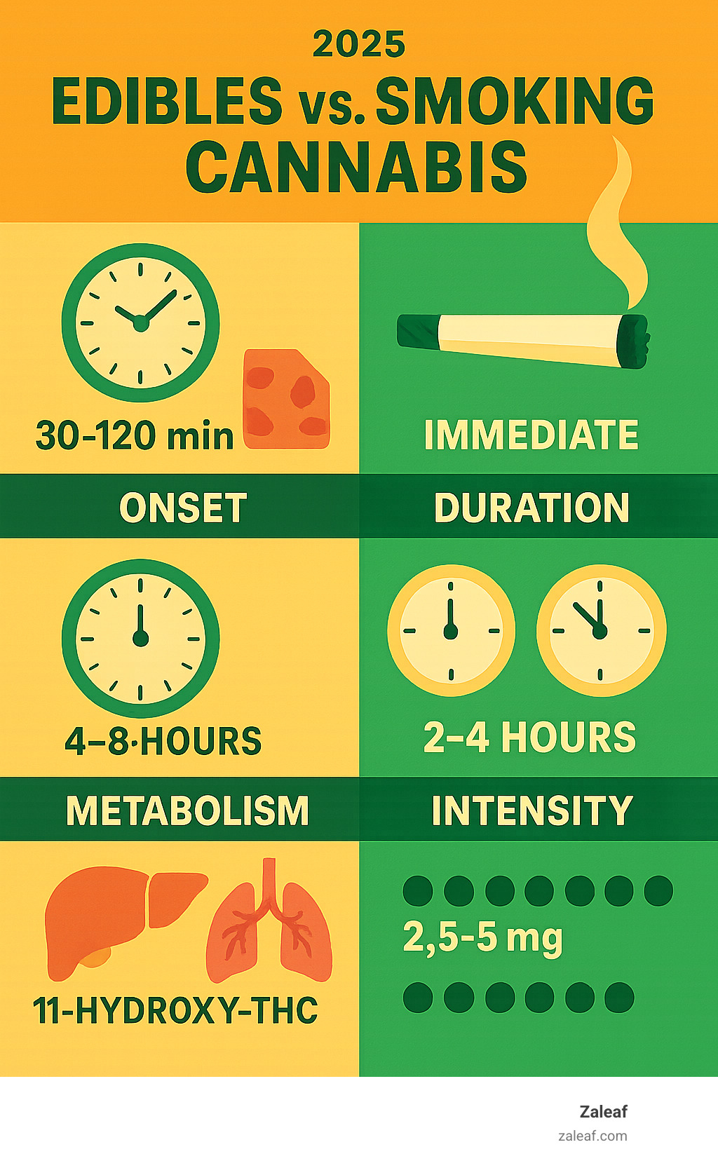Detailed infographic showing the key differences between edibles and smoking cannabis, including onset times (edibles 30-120 minutes vs smoking immediate), duration (edibles 4-8 hours vs smoking 2-4 hours), metabolism pathway (edibles through liver creating 11-hydroxy-THC vs smoking through lungs), and intensity levels with recommended starting doses - cannabis edibles 101 infographic 