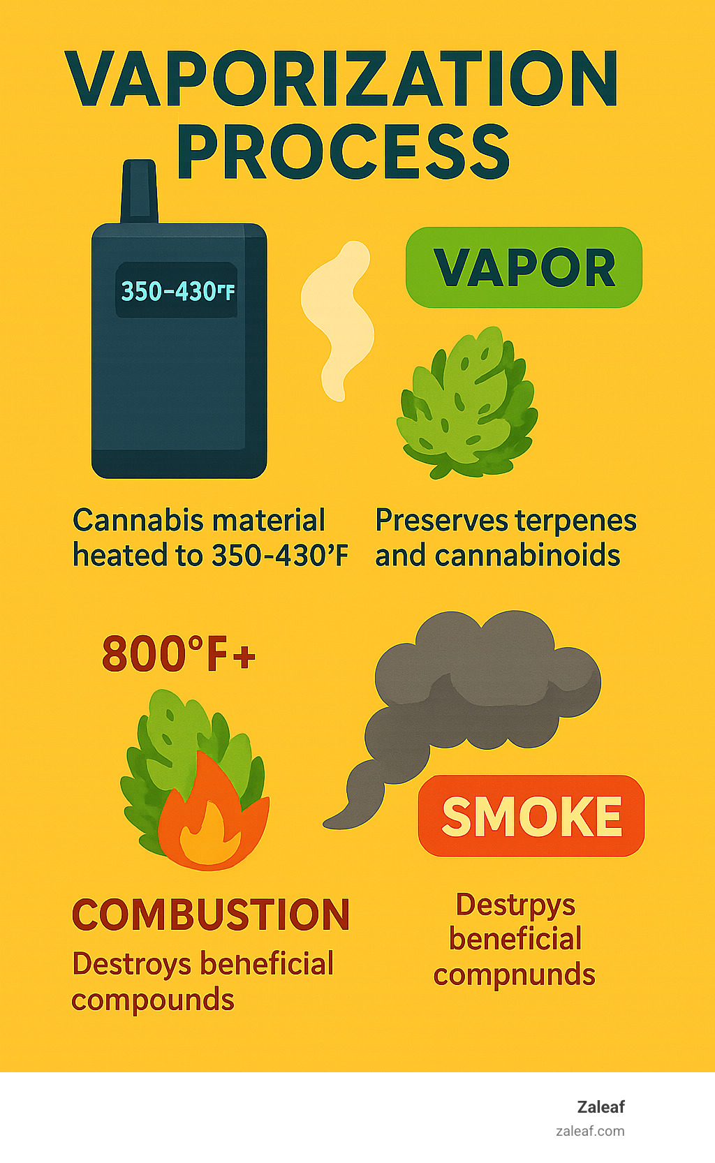 Infographic showing the vaporization process: cannabis material being heated to 350-430°F creating vapor with preserved terpenes and cannabinoids, compared to combustion at 800°F+ which destroys beneficial compounds and creates harmful smoke - cannabis vape device infographic 