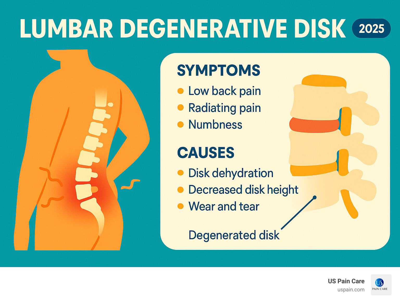 Understanding Lumbar Degenerative Disk Disease: Definition, Causes, Symptoms, and Treatment Options - lumbar degenerative disk infographic 
