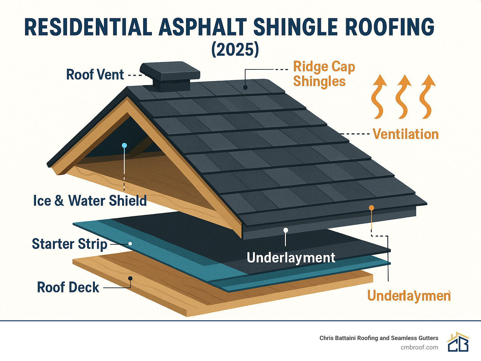 Detailed infographic showing the complete asphalt shingle roofing system layers including roof deck, underlayment, ice and water shield, starter strip, field shingles, ridge cap shingles, and proper ventilation components - residential asphalt shingle roofing infographic 