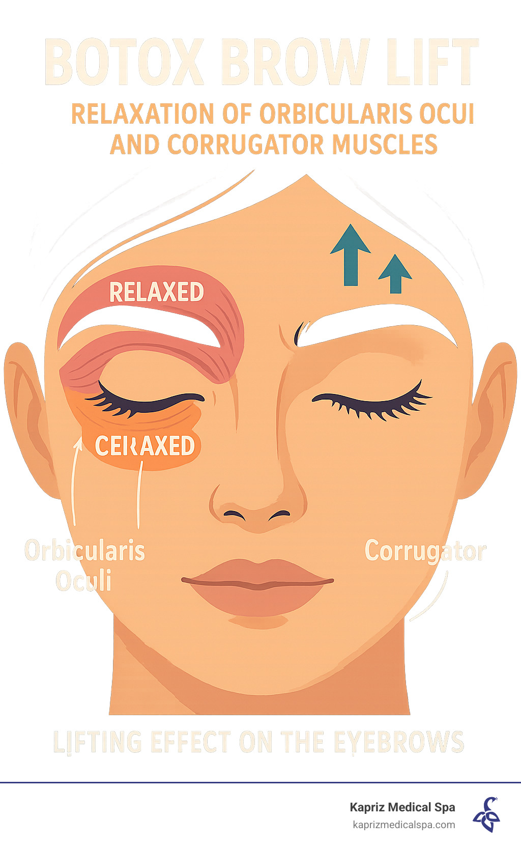 How many units of botox for eyebrow lift 2025: Pro Tips