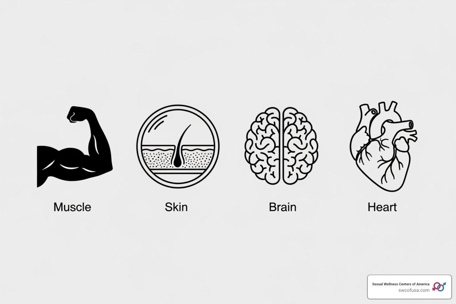 icons representing various health benefits like muscle, skin, brain, and heart - what is a peptide therapy icons representing various health benefits like muscle, skin, brain, and heart - what is a peptide therapy