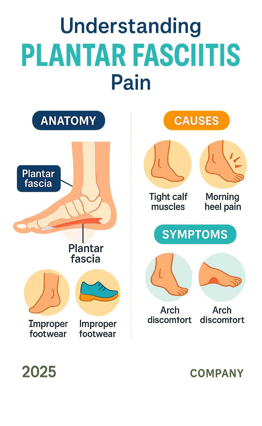 Infographic showing the plantar fascia ligament location in foot anatomy, common causes like tight calf muscles and improper footwear, and main symptoms including morning heel pain and arch discomfort - exercises for plantar fasciitis infographic 
