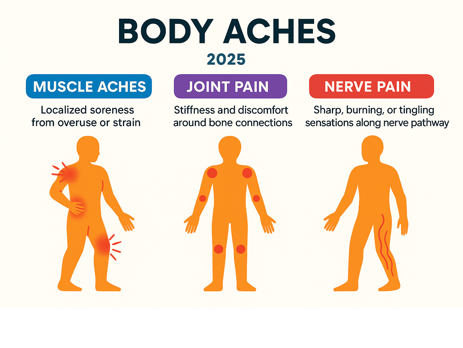 Comprehensive infographic showing the differences between muscle aches (localized soreness from overuse or strain), joint pain (stiffness and discomfort around bone connections), and nerve pain (sharp, burning, or tingling sensations along nerve pathways), with visual representations of each pain type and their common locations in the human body - body aches infographic 