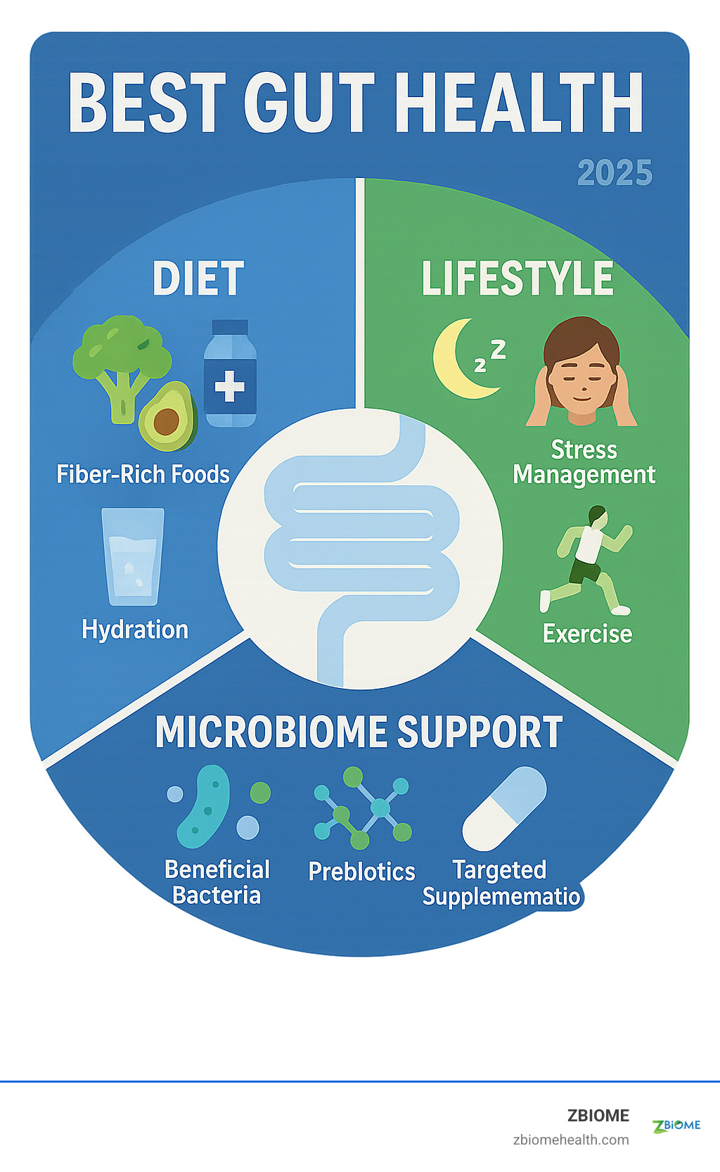 Comprehensive infographic showing the three key pillars of optimal gut health: Diet (featuring fiber-rich foods, probiotics, and hydration), Lifestyle (including sleep, stress management, and exercise), and Microbiome Support (showing beneficial bacteria, prebiotics, and targeted supplementation) - Best gut health infographic 