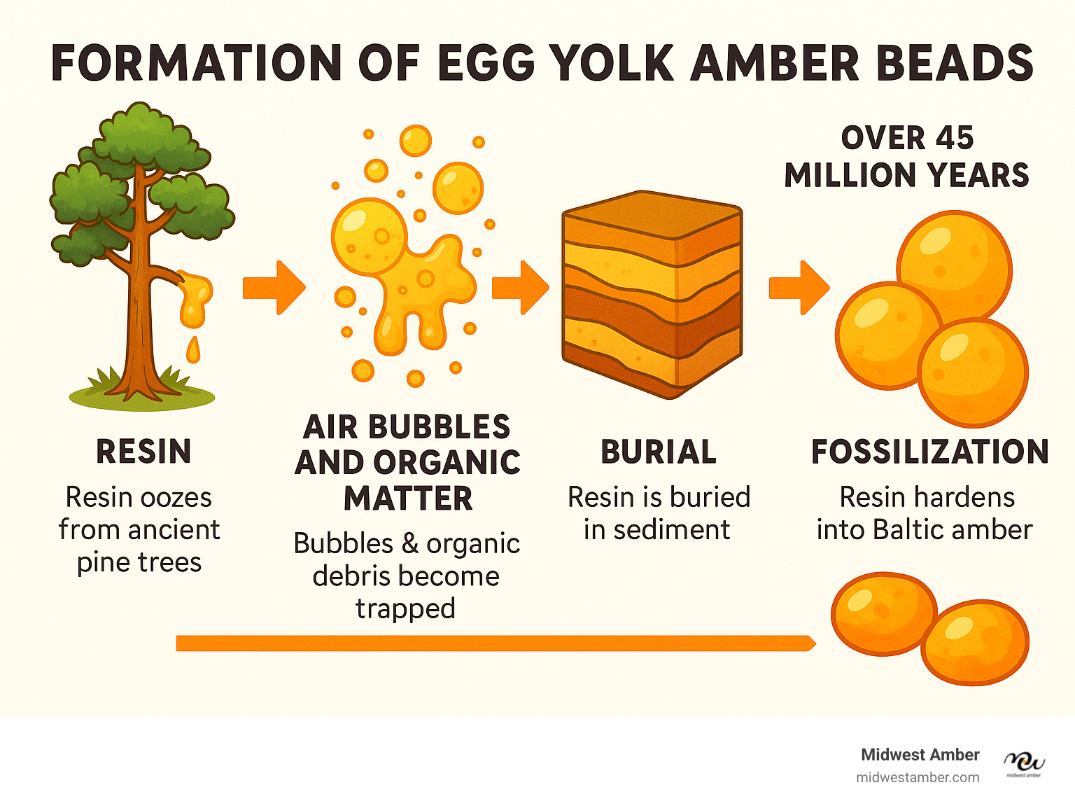 Infographic showing the formation process of Baltic amber over 45 million years, from ancient pine tree resin to fossilized amber beads, highlighting how air bubbles and organic matter create the distinctive egg yolk appearance through natural geological processes - egg yolk amber beads infographic 