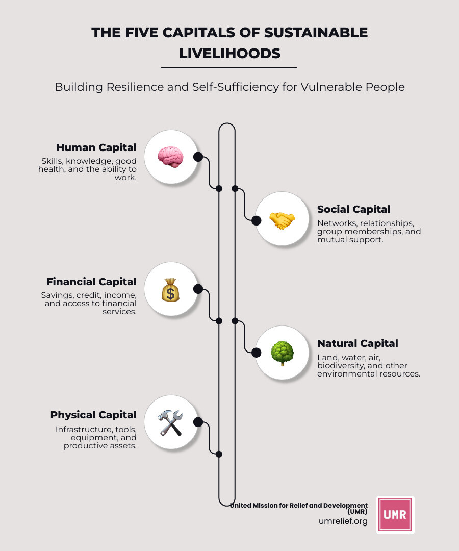 Infographic showing the five capitals of sustainable livelihoods: human capital (skills and knowledge), social capital (community networks), financial capital (savings and credit), natural capital (land and water resources), and physical capital (tools and infrastructure), with arrows showing how they interconnect to build resilience - livelihood support for vulnerable people infographic infographic-line-5-steps-neat_beige