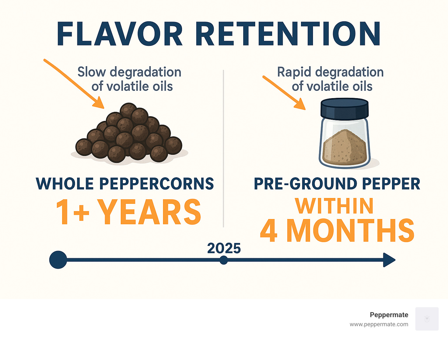 Infographic showing flavor retention comparison between whole peppercorns lasting 1+ years versus pre-ground pepper losing potency within 4 months, with timeline markers and volatile oil degradation rates - Grinder for peppercorns infographic 