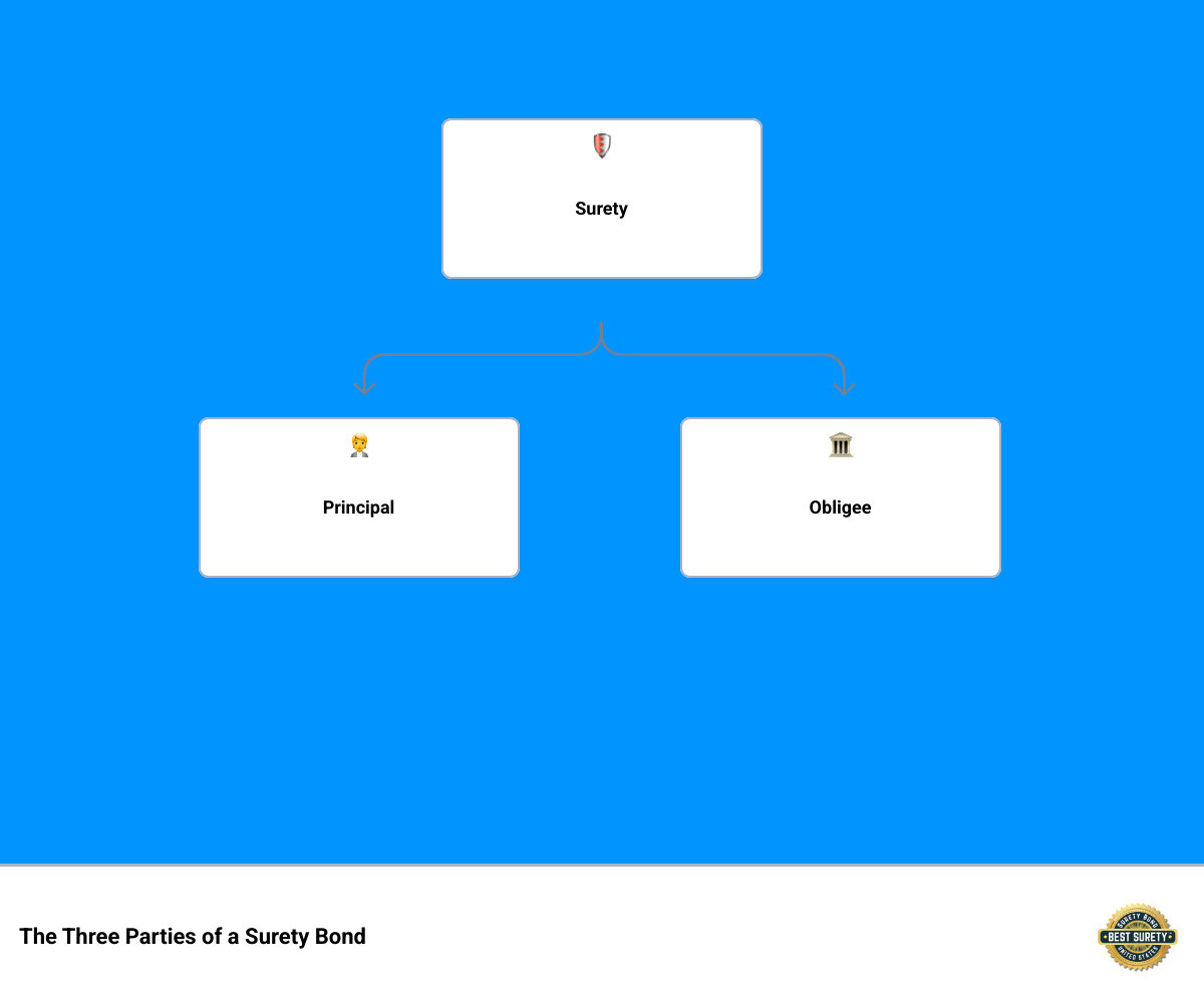 Infographic showing the surety bond three-party relationship with Principal (business owner), Obligee (government entity or project owner requiring the bond), and Surety (insurance company providing the financial guarantee), including arrows showing the flow of obligations and protections between each party - surety bond nationwide infographic hierarchy