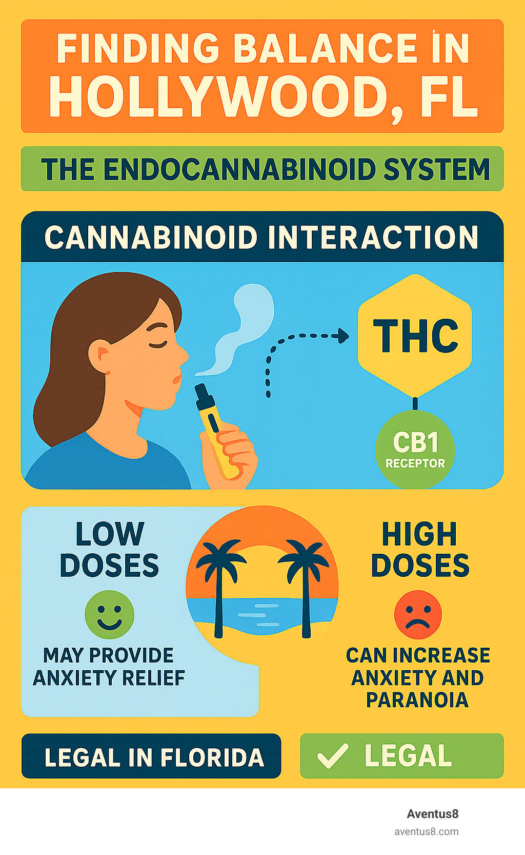 Infographic explaining the Endocannabinoid System and cannabinoid interaction, with a focus on how it relates to Hollywood, FL residents - THC vape for anxiety infographic 