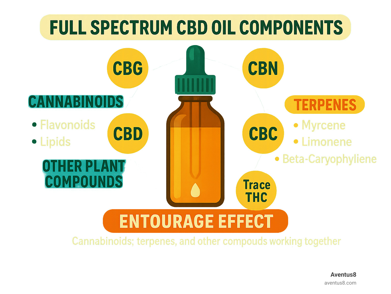 An infographic showing the different components of full spectrum CBD oil, including cannabinoids like CBD, CBG, CBN, and trace THC, as well as terpenes and flavonoids, all working together.