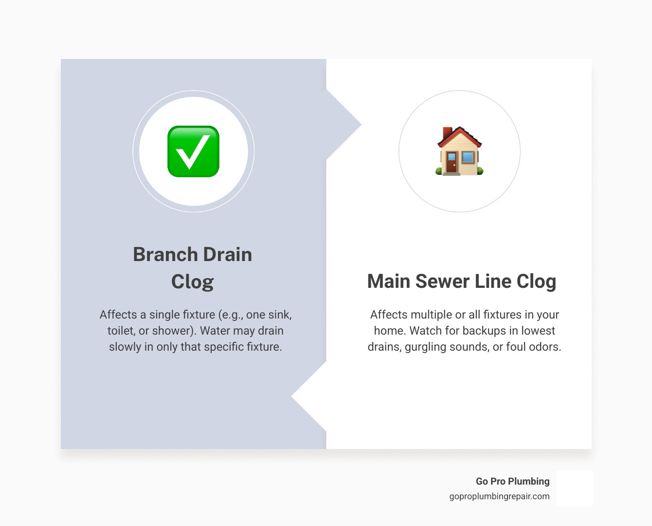 Infographic showing the difference between branch drain clogs affecting single fixtures versus main sewer line clogs affecting multiple drains throughout the home, illustrated with a tree diagram where the trunk represents the main line and branches represent individual drain lines - sewage line clogged infographic comparison-2-items-formal