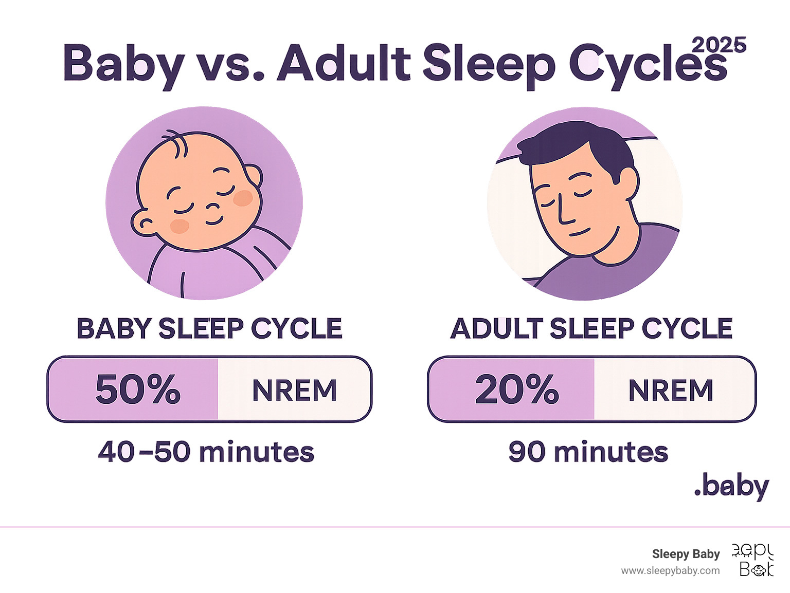 Infographic comparing baby and adult sleep cycles, showing percentages of REM and NREM sleep. Baby sleep cycle shows a higher percentage of REM sleep (e.g., 50%) and shorter total cycle duration (e.g., 40-50 minutes), while adult sleep cycle shows a lower percentage of REM sleep (e.g., 20%) and longer total cycle duration (e.g., 90 minutes). - baby sleep patterns development infographic Infographic comparing baby and adult sleep cycles, showing percentages of REM and NREM sleep. Baby sleep cycle shows a higher percentage of REM sleep (e.g., 50%) and shorter total cycle duration (e.g., 40-50 minutes), while adult sleep cycle shows a lower percentage of REM sleep (e.g., 20%) and longer total cycle duration (e.g., 90 minutes). - baby sleep patterns development infographic