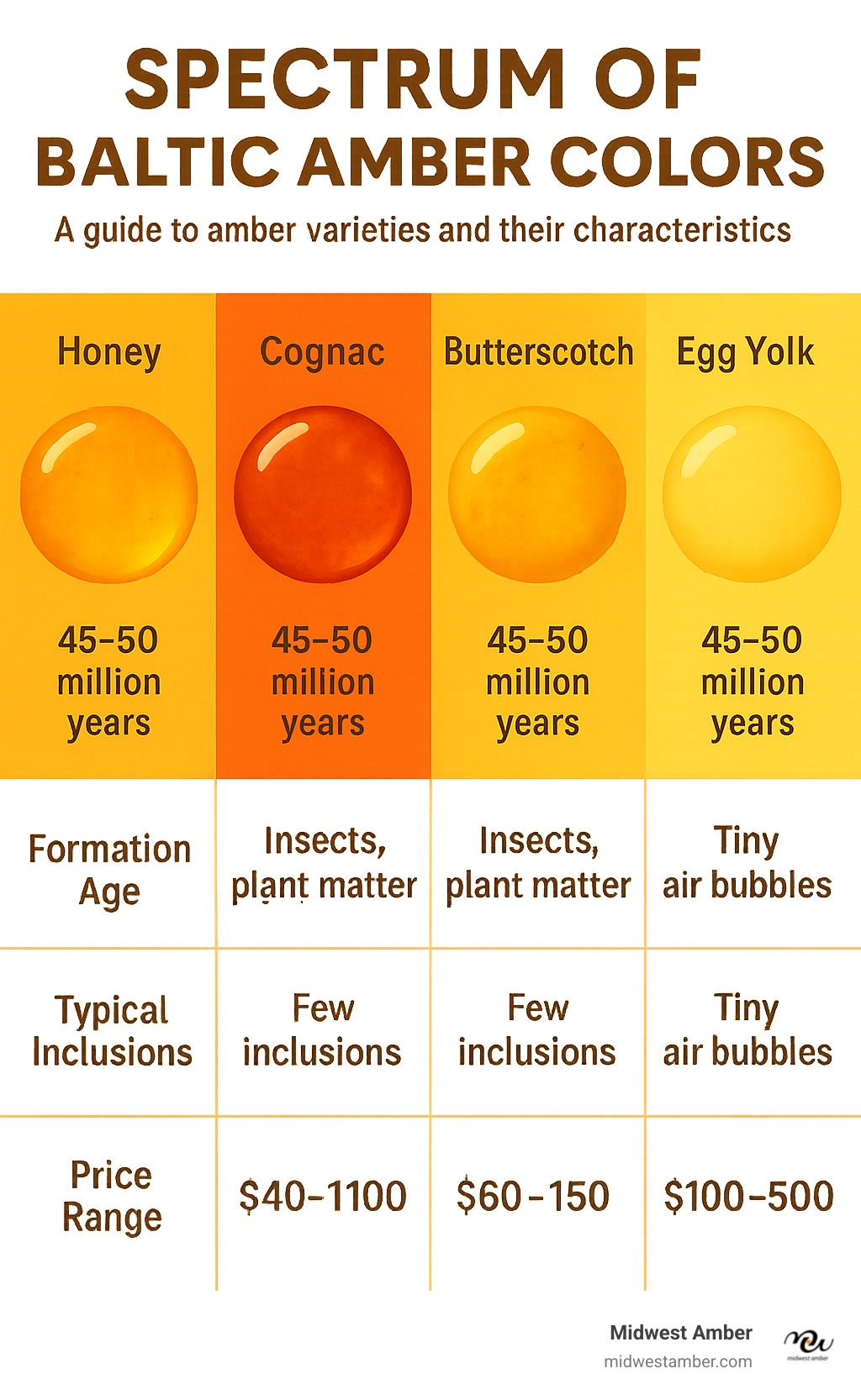 Infographic showing the spectrum of Baltic amber colors from transparent honey and cognac varieties to the distinctive opaque butterscotch and egg yolk types, with characteristics like formation age, typical inclusions, and price ranges for each variety - egg yolk amber earrings infographic 