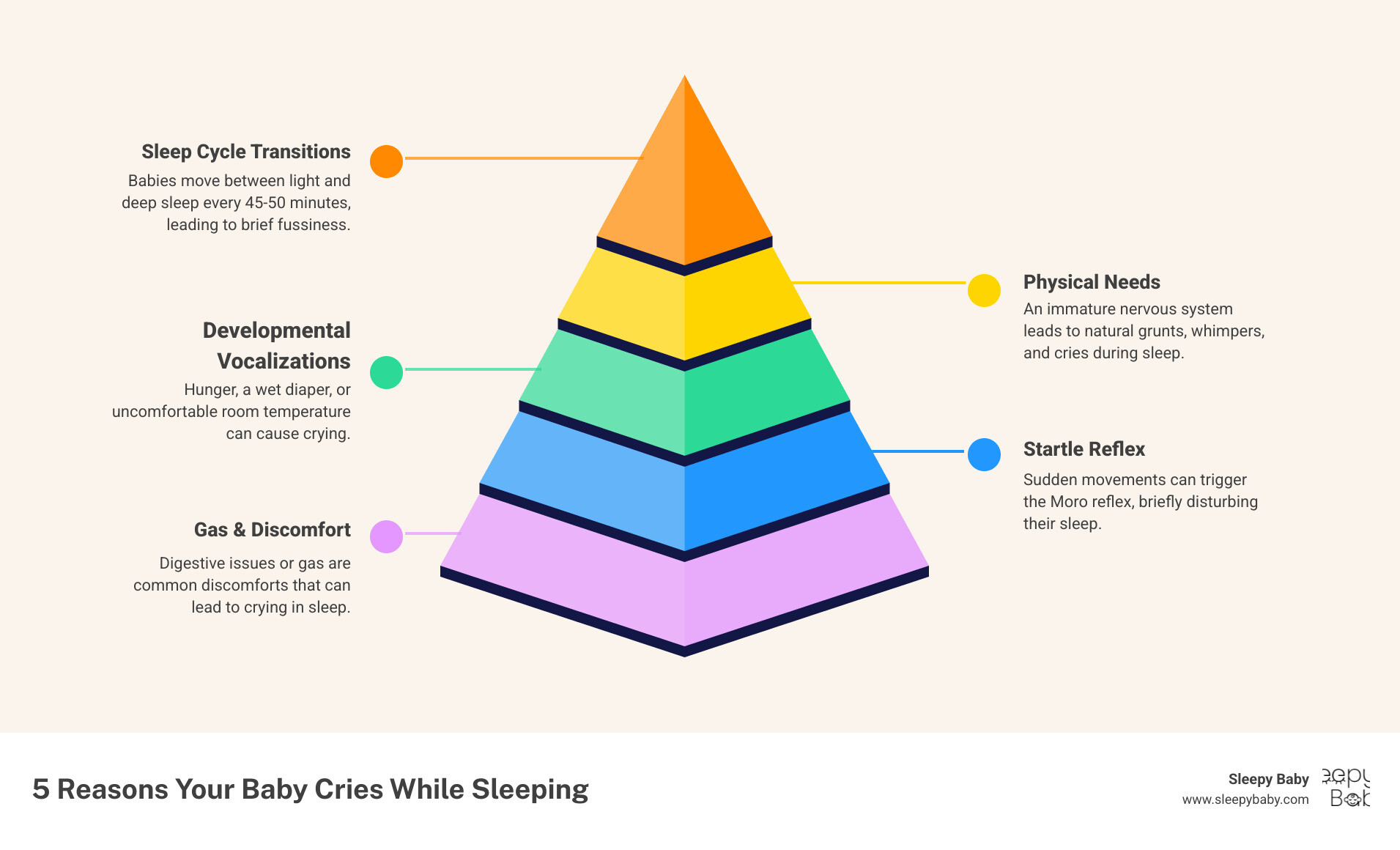 Infographic showing the main causes of baby crying while sleeping: sleep cycle transitions at 45-50 minute intervals, physical needs like hunger and diaper changes, developmental factors including immature nervous system, startle reflex causing brief awakenings, and digestive discomfort from gas or feeding issues - baby cries while sleeping infographic pyramid-hierarchy-5-steps