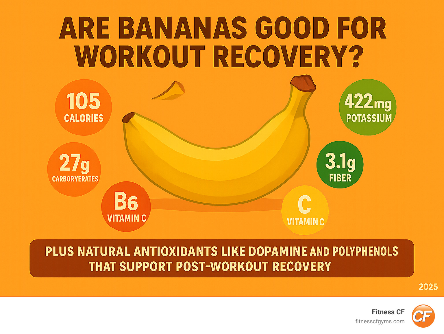 Infographic showing a medium banana contains 105 calories, 27g carbohydrates, 422mg potassium, 3.1g fiber, vitamin B6 and vitamin C, plus natural antioxidants like dopamine and polyphenols that support post-workout recovery - are bananas good for workout recovery infographic 