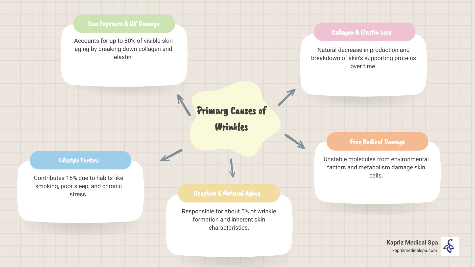 Infographic showing the primary causes of wrinkles: 80% sun exposure and UV damage, 15% lifestyle factors including smoking, poor sleep, and stress, and 5% genetics and natural aging process, with icons representing each category and prevention methods - Natural wrinkle reduction infographic mindmap-5-items
