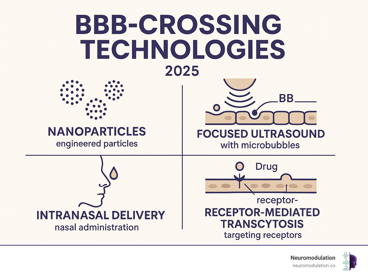 Infographic showcasing different BBB-crossing technologies including nanoparticles, focused ultrasound, intranasal delivery, and receptor-mediated transcytosis - Blood brain barrier infographic 