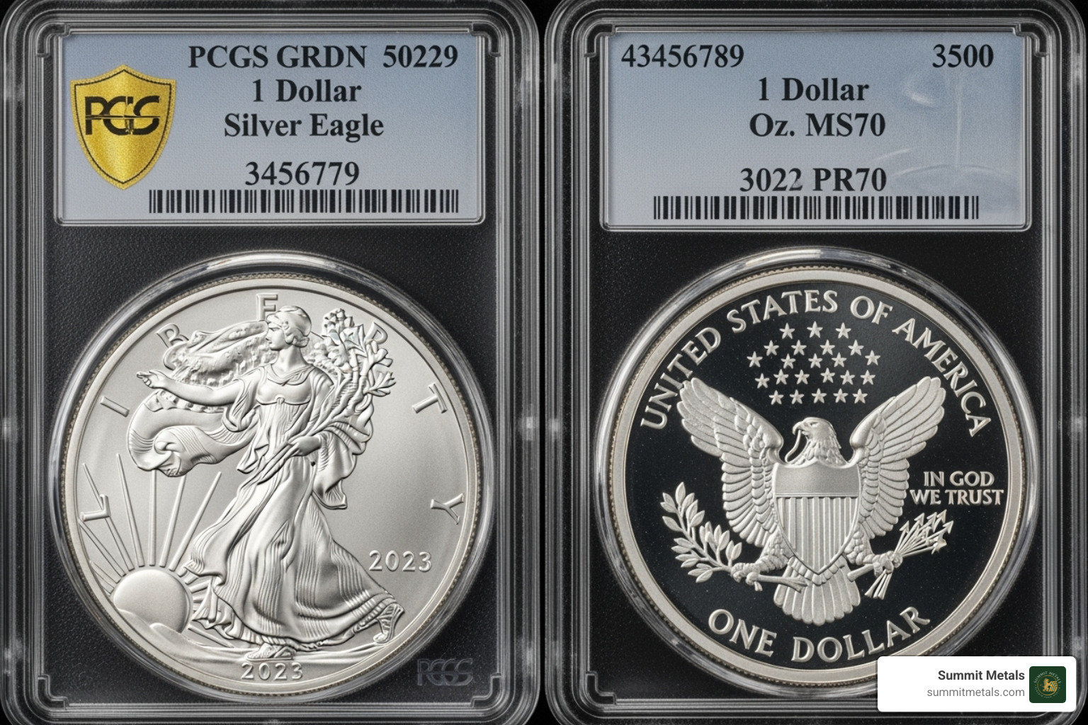 Image of a graded and slabbed Silver Eagle coin - circulated silver eagles