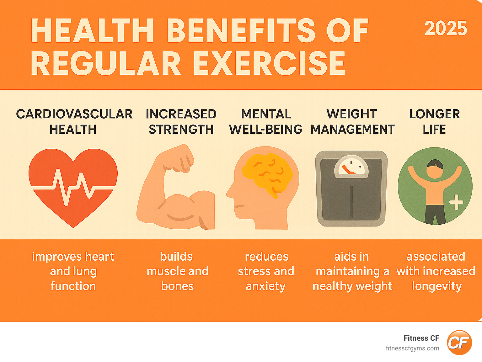 Infographic showing the comprehensive health benefits of regular exercise including cardiovascular improvements, strength gains, mental health benefits, weight management, and longevity factors with visual representations of heart health, muscle development, brain function, and overall wellness metrics - gyms in orlando infographic 