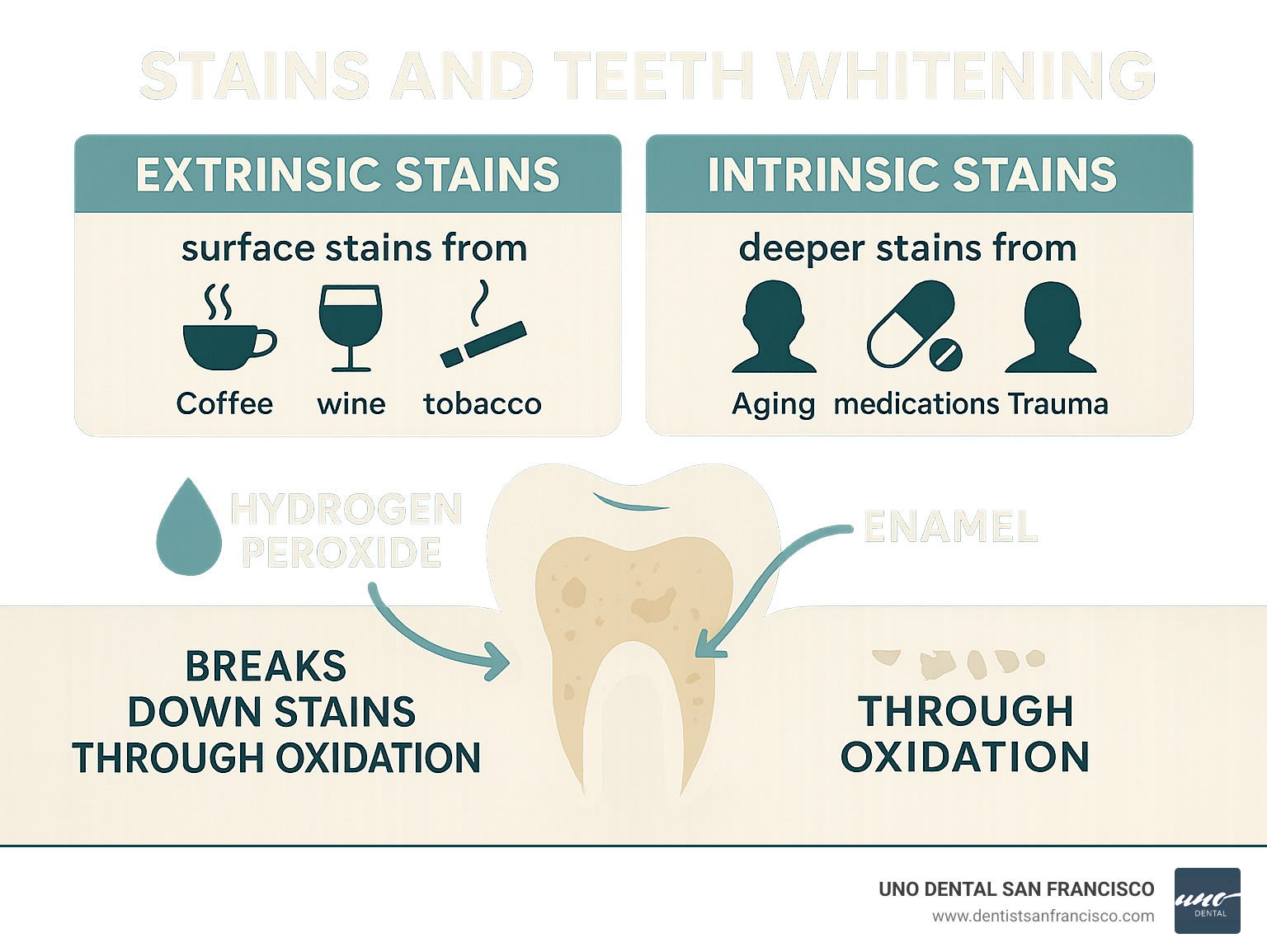 Infographic showing the difference between extrinsic stains (surface stains from coffee, wine, tobacco) and intrinsic stains (deeper stains from aging, medications, trauma), with arrows indicating how hydrogen peroxide penetrates enamel to break down both types of stains through oxidation - dental whitening at home infographic 