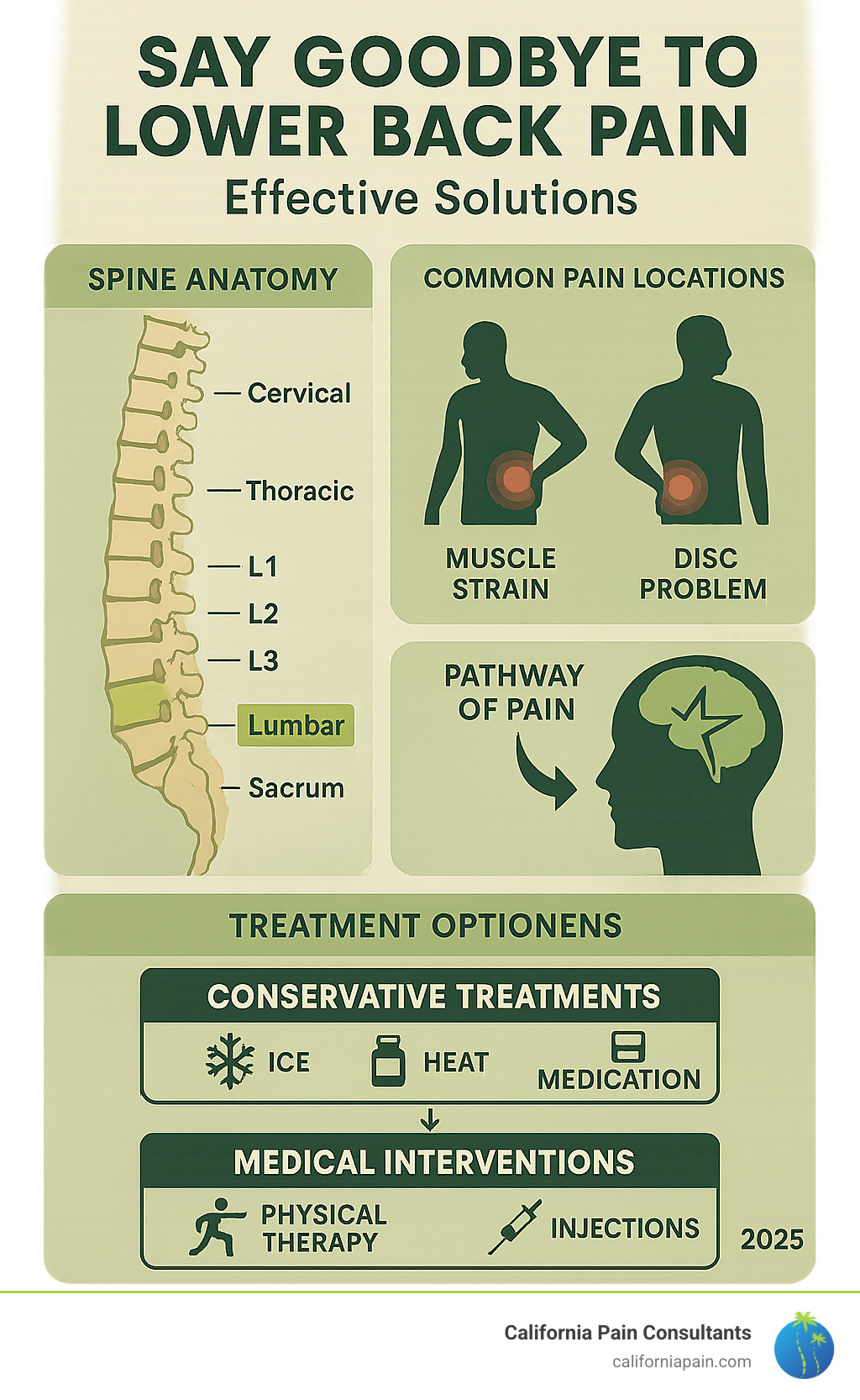 Comprehensive infographic showing the spine anatomy with labeled vertebrae, common pain locations including muscle strains and disc problems, pain pathway from spine to brain, and a flowchart of treatment options from conservative home remedies like ice and heat therapy to medical interventions like physical therapy and injections - lower back pain solutions infographic 