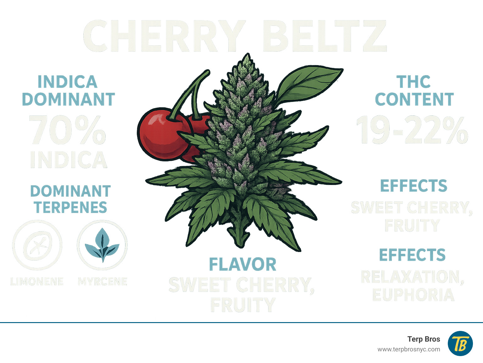 Detailed infographic showing Cherry Beltz strain characteristics including 70% indica dominance, 19-22% THC content, dominant terpenes like limonene and myrcene, sweet cherry and fruity flavor profile, and primary effects of relaxation and euphoria - cherry beltz strain infographic 