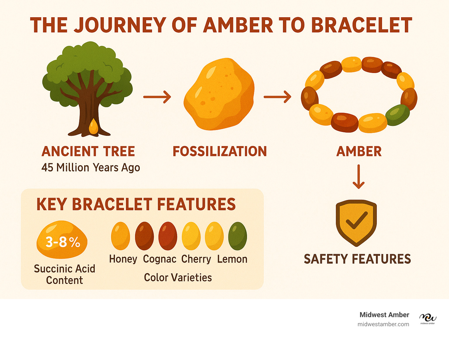 Infographic showing the complete journey of amber formation from ancient tree resin 45 million years ago through fossilization process to modern bracelet crafting, including key quality indicators like succinic acid content, color variations, and safety features - bracelet amber infographic 