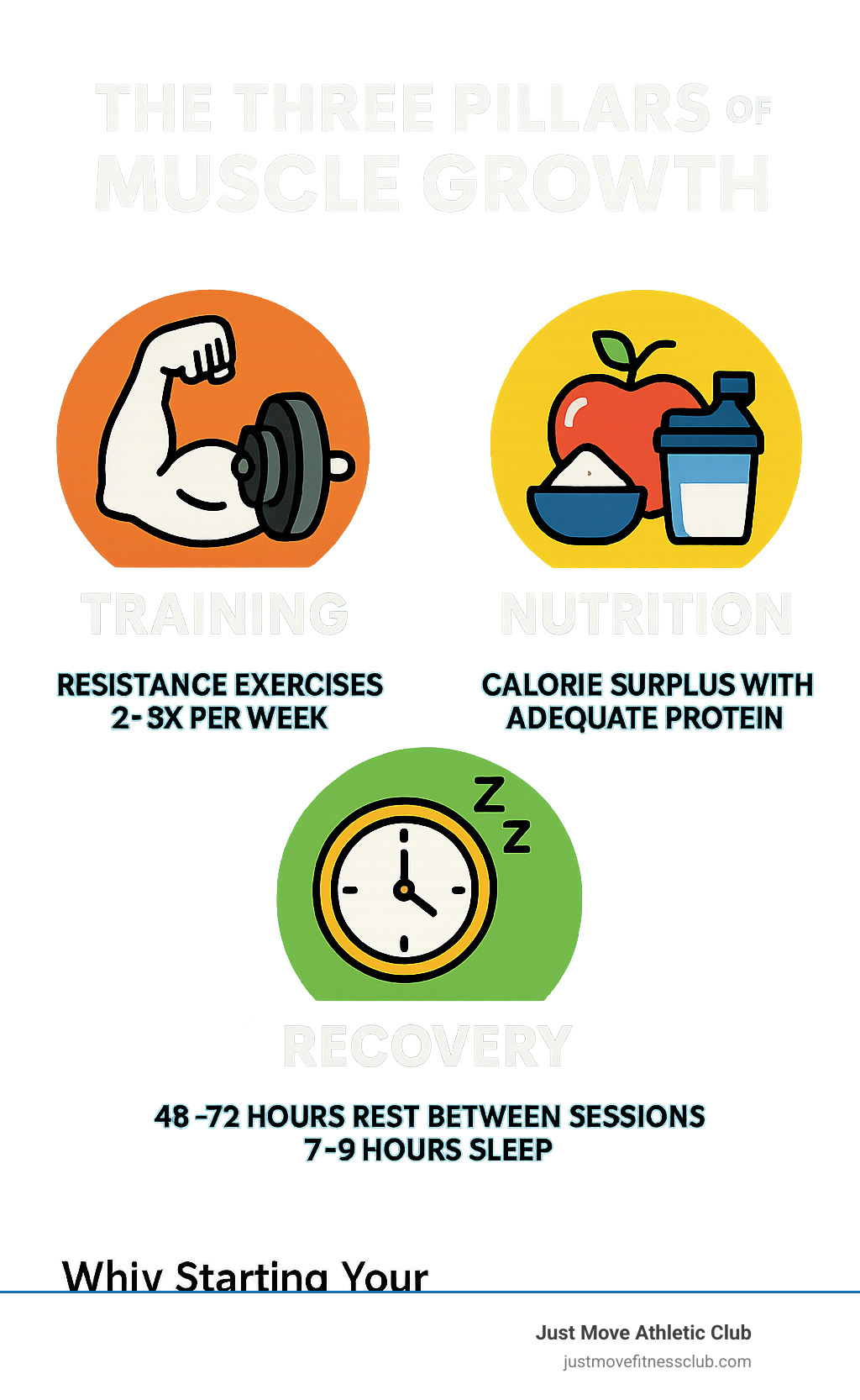 Infographic showing the three pillars of muscle growth: Training (resistance exercises 2-3x per week), Nutrition (calorie surplus with adequate protein), and Recovery (48-72 hours rest between sessions with 7-9 hours sleep) - beginner workout for muscle growth infographic 