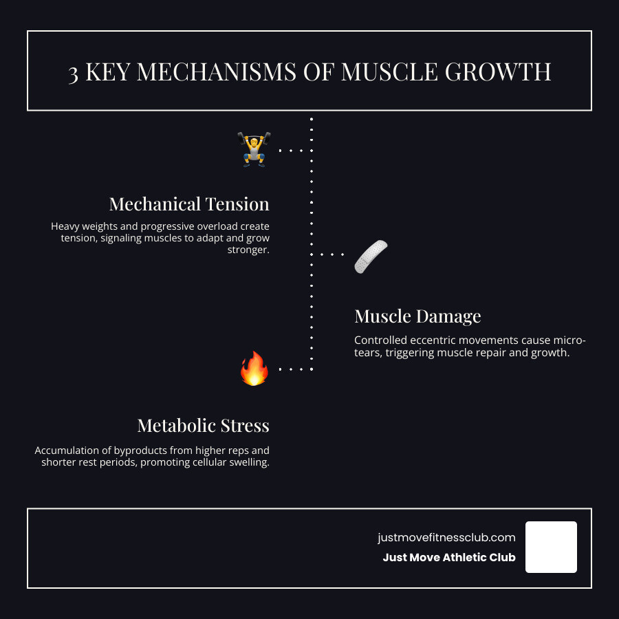 Infographic showing the three mechanisms of muscle growth: mechanical tension through progressive overload with heavy weights, muscle damage from controlled eccentric movements and proper form, and metabolic stress from higher rep ranges and shorter rest periods - best gym routine for muscle growth infographic infographic-line-3-steps-dark