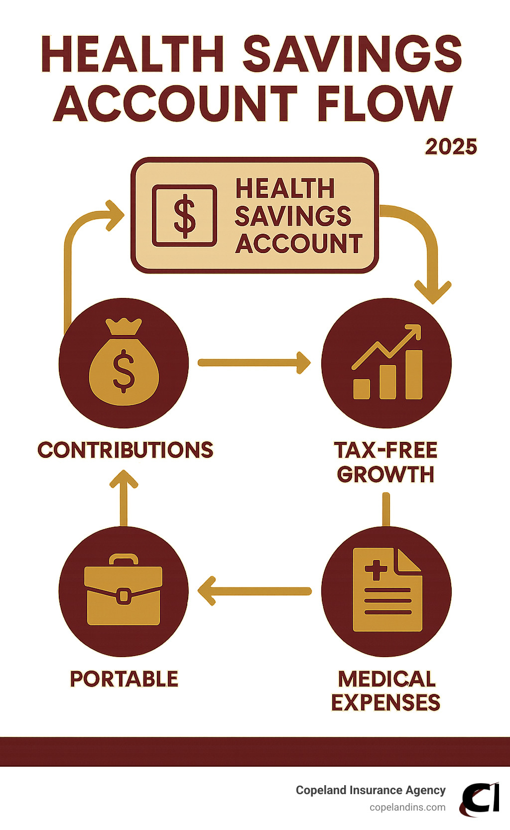 Health savings account flow - Health savings account infographic 