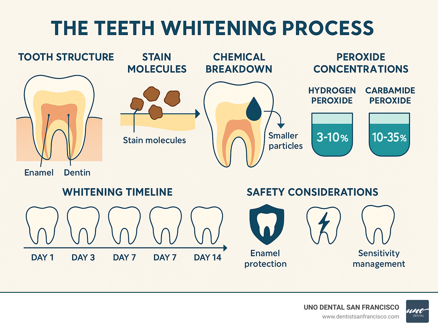Comprehensive infographic showing the teeth whitening process: tooth structure with enamel and dentin layers, how stain molecules attach to teeth, the chemical breakdown process of peroxide bleaching agents breaking stain molecules into smaller particles, comparison of hydrogen peroxide vs carbamide peroxide concentrations, timeline showing typical whitening results from day 1 to day 14, and safety considerations including enamel protection and sensitivity management - at home teeth bleach infographic 