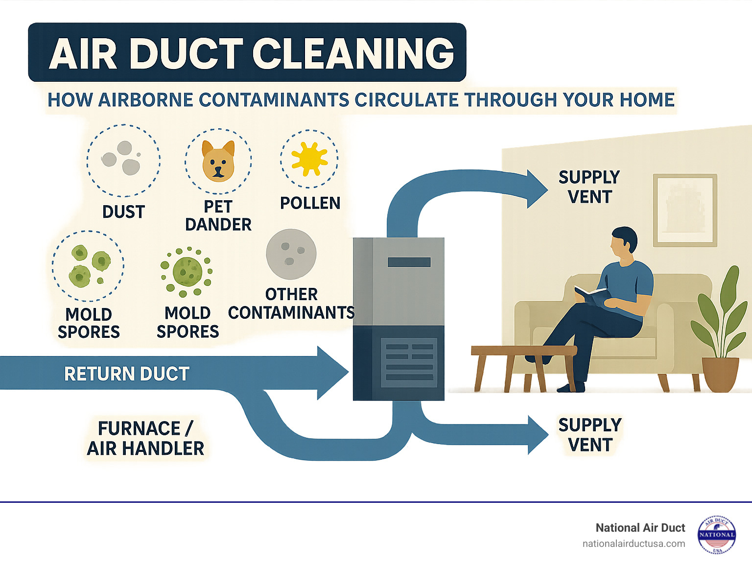 Detailed infographic showing how dust, pet dander, pollen, mold spores, and other airborne contaminants circulate through a home's HVAC system, with arrows indicating air flow from return ducts through the furnace/air handler and out through supply vents into living spaces - Air duct cleaning infographic 