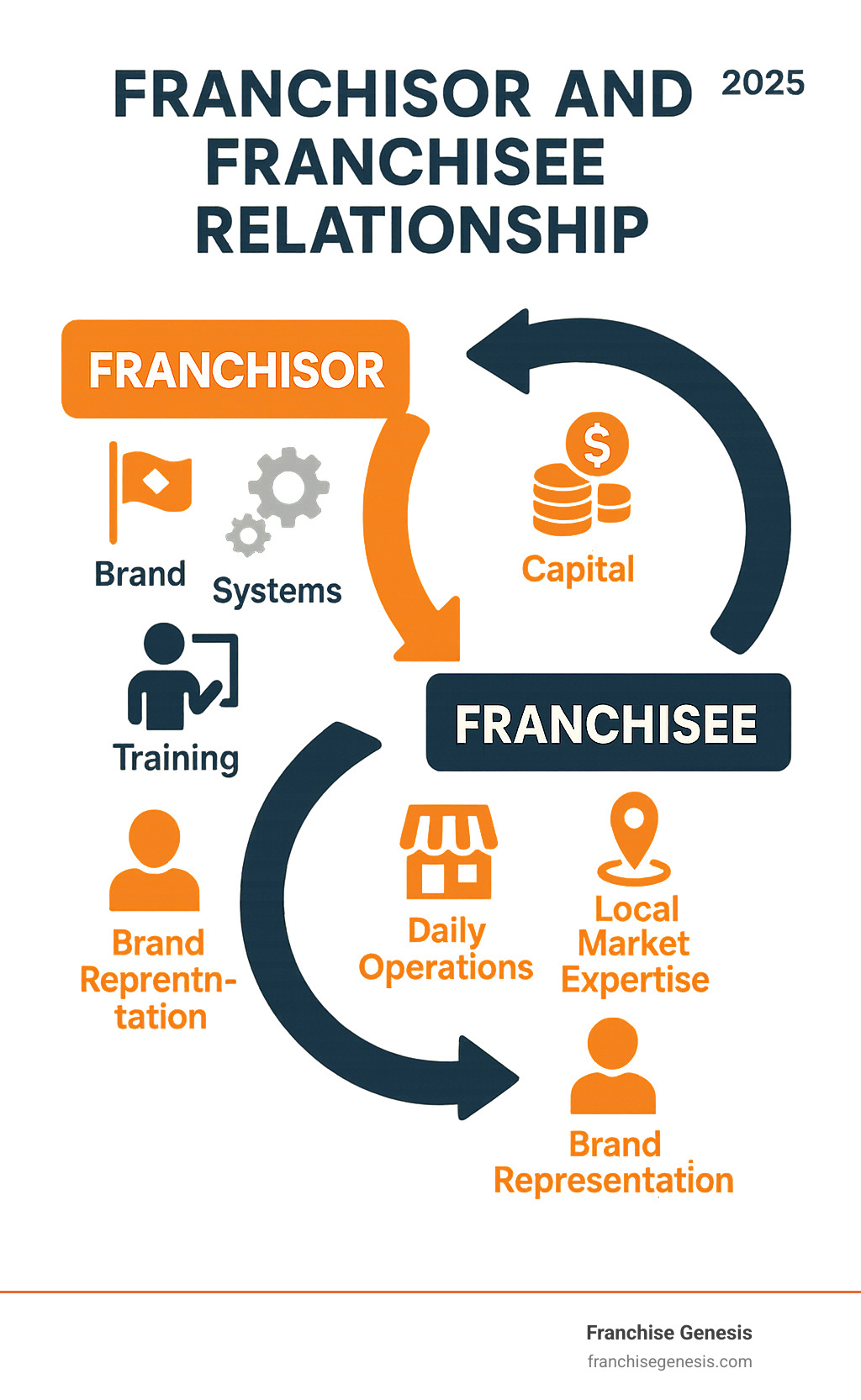 Detailed infographic showing the symbiotic relationship between franchisor and franchisee, including franchisor providing brand, systems, training and support while franchisee provides capital, local market expertise, daily operations and brand representation - franchisee infographic 