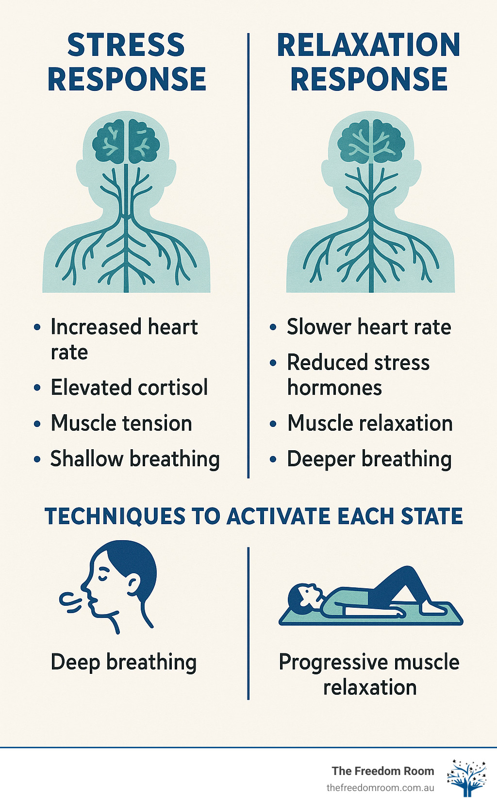 Infographic explaining the physiological differences between stress response (increased heart rate, liftd cortisol, muscle tension, shallow breathing) versus relaxation response (slower heart rate, reduced stress hormones, muscle relaxation, deeper breathing), with simple illustrations of the nervous system and practical techniques for activating each state - how can you relax infographic 